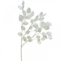 Floristik24 Ramo decorativo folha de prata branca Ramo Lunaria Ramo artificial 70cm