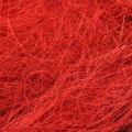 Floristik24 Sisal vermelho bordeaux fibra natural 300g