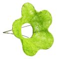 Floristik24 Botão de flor de sisal verde claro Ø15cm