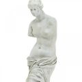 Floristik24 Estátua de Vênus escultura decorativa H29cm cinza-marrom figura decorativa jardim