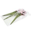 Floristik24 Flores de decoração de verão como plugues rosa, rosa 32 cm 6 unidades