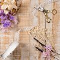 Fita decorativa com renda, algodão, borda fina, em rolo, 25 mm de largura, 10 m de comprimento. | Floristik24.pt