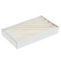 Conjunto de 4 velas cônicas de cor creme sólida, 34 mm x 240 mm. | Floristik24.pt