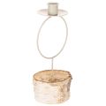 Floristik24 Castiçal com base em madeira de bétula e anel de metal, 20 cm