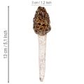 Cogumelo morel artificial decorativo para vasos de plantas e mesas, 13 cm, 2 peças | Floristik24.pt