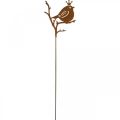 Floristik24 Pátina decoração de jardim plug pássaro de metal com coroa 6 peças