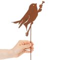Estaca decorativa para jardim de pássaros, em metal enferrujado, 52 cm | Floristik24.pt