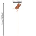 Estaca decorativa para jardim de pássaros, em metal enferrujado, 52 cm | Floristik24.pt