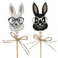 Floristik24 Flor plug bunny com óculos madeira glitter 4×7,5cm 12uds