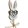 Floristik24 Flor plug bunny com óculos madeira glitter 4×7,5cm 12uds