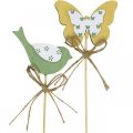 Floristik24 Borboleta de pássaro plug, decoração de madeira, decoração de mola de plugue de planta verde, amarelo L24/25cm 12pcs