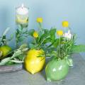 Floristik24 Vaso de barro verde limão 10cm