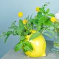 Floristik24 Vaso de barro amarelo limão 15cm