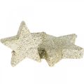 Floristik24 Decoração dispersiva Decoração dispersiva de Natal estrelas em ouro Ø4/5cm 40p