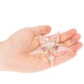 Enfeites decorativos em forma de estrela, acrílico transparente iridescente, para árvore de Natal, 9 cm, 6 peças | Floristik24.pt