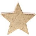 Suporte decorativo em forma de estrela de Natal para mesa ou prateleira, 10 cm, conjunto de 3 peças | Floristik24.pt