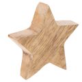 Estrela decorativa brilhante