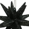 Floristik24 Estrelas de decoração de natal para pendurar preto Ø7.5cm 8pcs