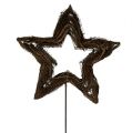 Floristik24 Estrela feita de videira natureza 65cm no pau L160cm