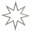 Floristik24 Estrela da decoração de Natal Decorações da árvore de Natal champagne glitter 22cm 12pcs