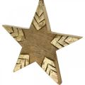 Floristik24 Estrela de madeira de manga natural, estrela de madeira dourada grande para pendurar 25 cm 2 unidades