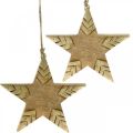 Floristik24 Estrela de madeira de manga natural, estrela de madeira dourada grande para pendurar 25 cm 2 unidades