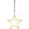 Floristik24 Pingente de Natal, decoração estrela para o Advento, estrela decoração dourada 14 × 14cm