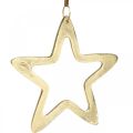 Floristik24 Pingente de Natal, decoração estrela para o Advento, estrela decoração dourada 14 × 14cm