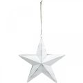 Floristik24 Estrela para pendurar, decorações para árvores de Natal, decoração de metal branco 19,5 × 18,5 cm