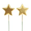 Floristik24 Estrelas em arame para a confecção de ouro 5cm C23cm 48pcs