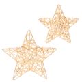 Floristik24 Conjunto de estrelas decorativas feitas de arame, dois tamanhos, 10 cm, 12 peças