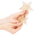 Conjunto de estrelas decorativas feitas de arame, dois tamanhos, 10 cm, 12 peças | Floristik24.pt