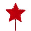Floristik24 Estrelas em arame para decorar 5cm vermelho 48pcs