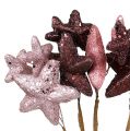 Floristik24 Pacote de estrelas com glitter rosa, bordeaux 60cm 5pcs