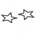 Floristik24 Espalhar decoração Estrelas de Natal glitter preto Ø4cm 120p
