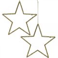 Floristik24 Pingente de estrela de decoração de natal glitter dourado 12cm 12uds