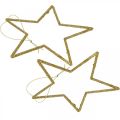 Floristik24 Pingente de estrela de decoração de natal glitter dourado 12cm 12uds