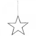 Floristik24 Estrela para pendurar, decorações para árvores de Natal, decoração estrela prata 11,5 × 12 cm 12 unidades
