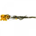 Floristik24 Flor Seca Flor Amarela Palha Helichrysum Decoração Seca Cacho 50cm 45g