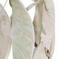 Floristik24 Folhas de Strelitzia lavadas em branco secas 45-80cm 10p