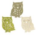 Floristik24 Litter owl branco, verde, marrom 4cm 72pcs