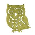 Floristik24 Litter owl branco, verde, marrom 4cm 72pcs