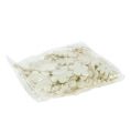 Floristik24 Flor de feltro espalhado creme Ø3,5cm 96p