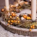 Floristik24 Decoração de dispersão bolotas decoração de outono decoração de inverno 3cm 36 peças