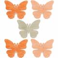 Floristik24 Borboleta Streudeko borboletas de madeira decoração de verão laranja, damasco, marrom 144p