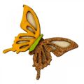 Floristik24 Espalhar decoração borboletas madeira verde/amarelo/laranja 3×4cm 24p