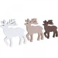 Floristik24 Scatter decoração de natal renas decoração de natal madeira 48 peças