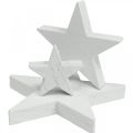 Floristik24 Espalhar decoração estrelas de madeira Natal branco 2.5/4.5/6.5cm 29p