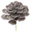 Floristik24 Conjunto de 6 flores artificiais de cera suculentas para decoração, 10 cm.
