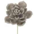 Floristik24 Planta artificial suculenta de cera com arame, 8 cm, 8 peças